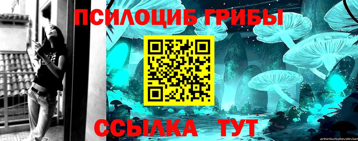 Галлюциногенные грибы MAGIC MUSHROOMS Энгельс